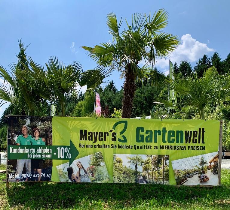 Bilder Mayer's Gartenwelt
