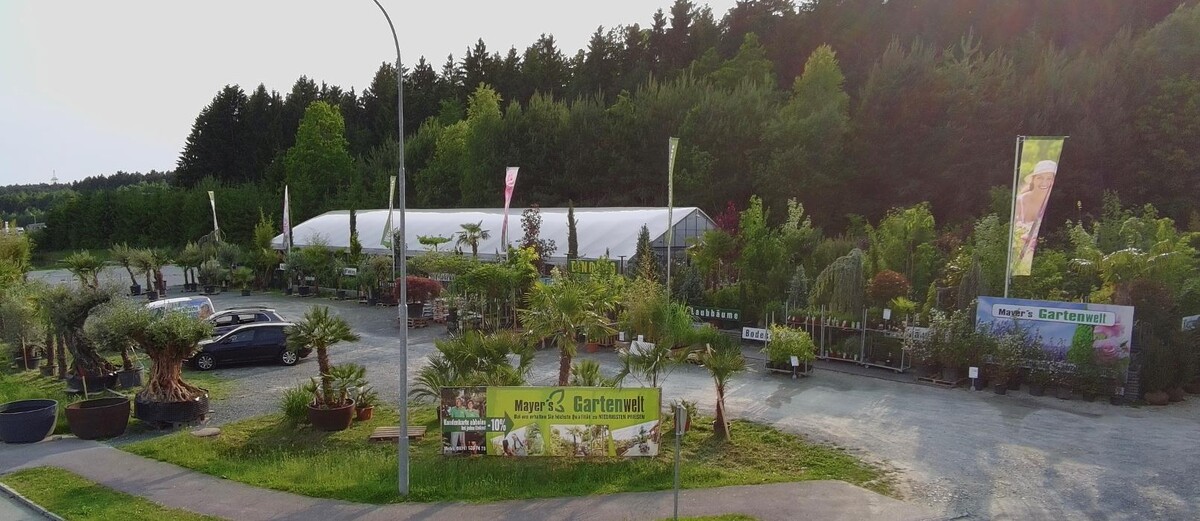 Bilder Mayer's Gartenwelt