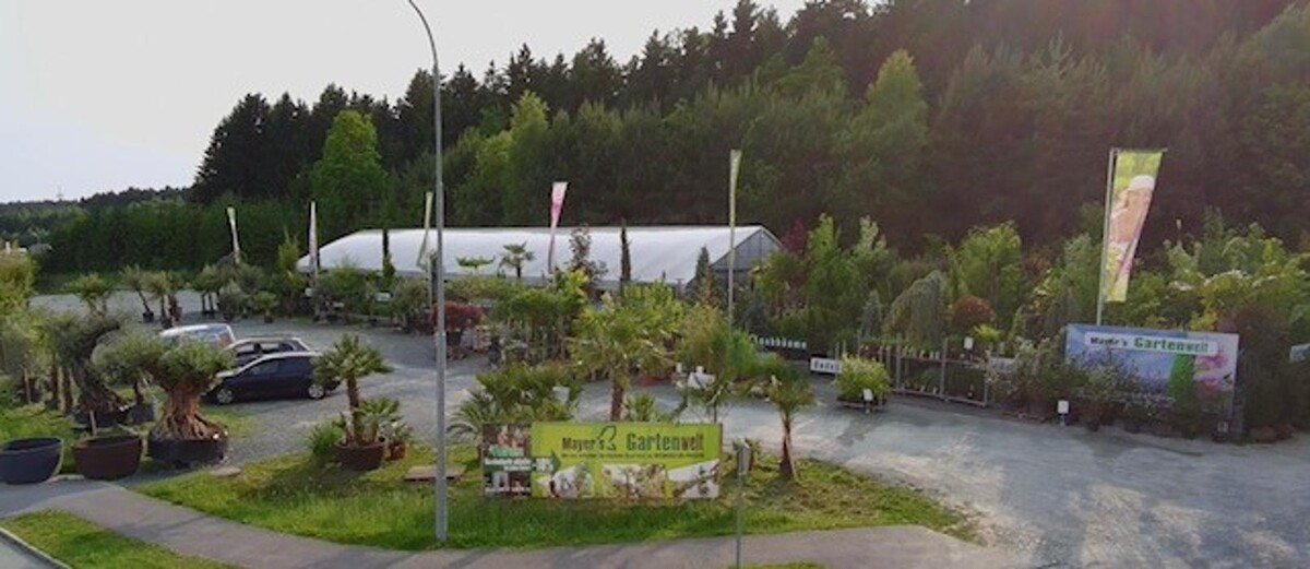 Bilder Mayer's Gartenwelt