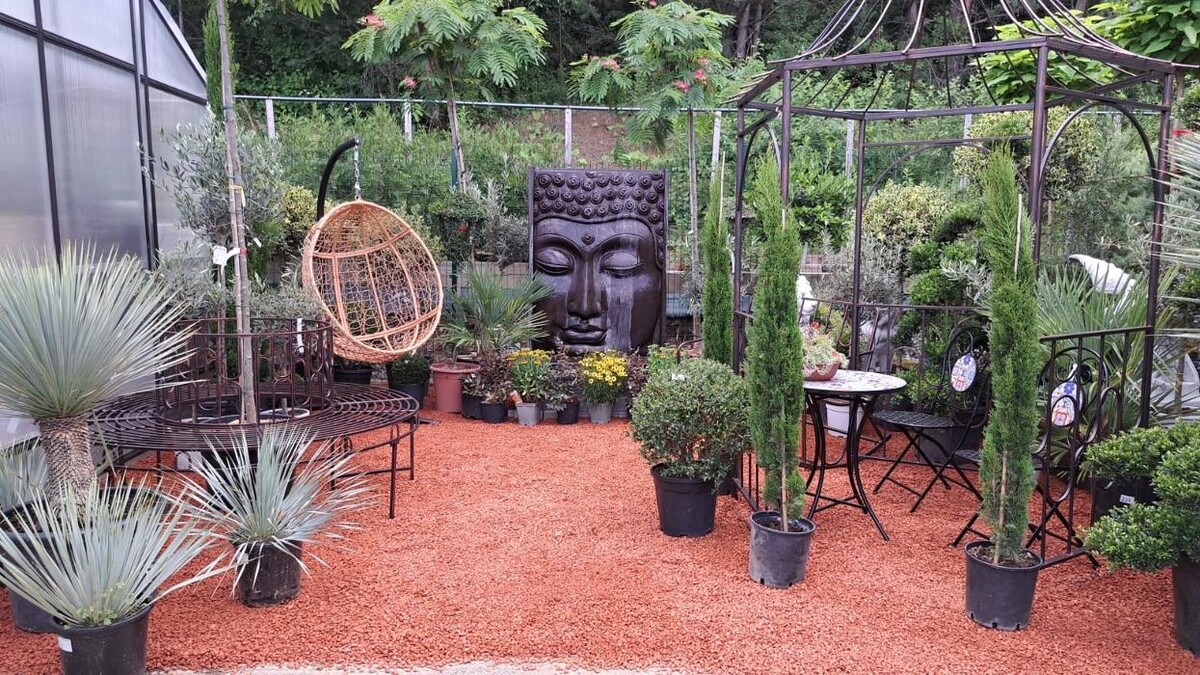 Bilder Mayer's Gartenwelt