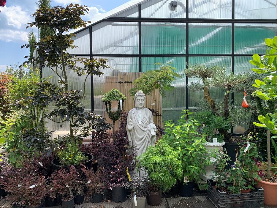 Bilder Mayer's Gartenwelt