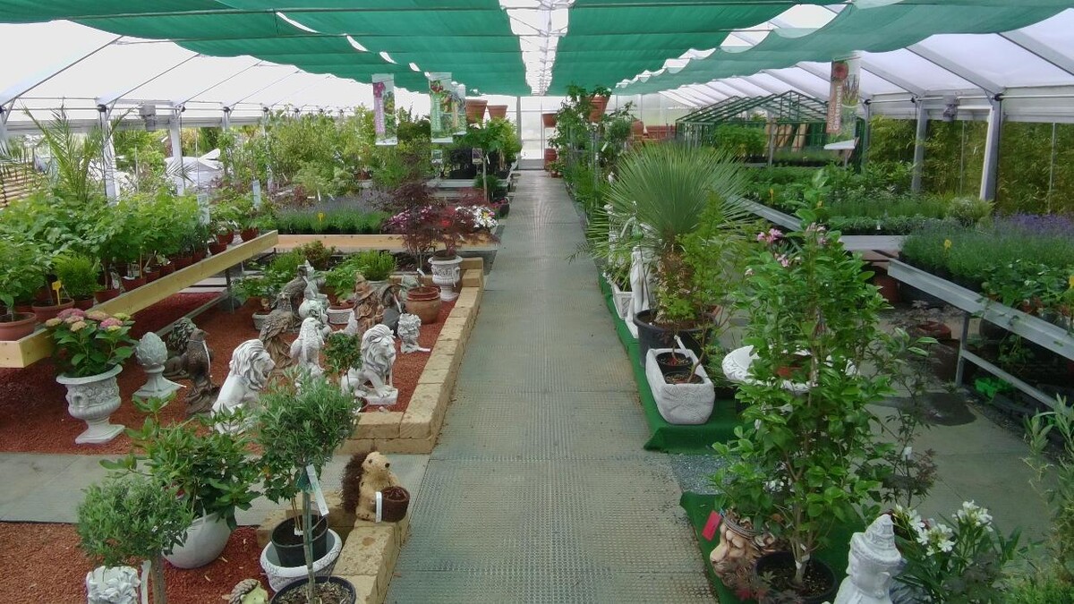 Bilder Mayer's Gartenwelt