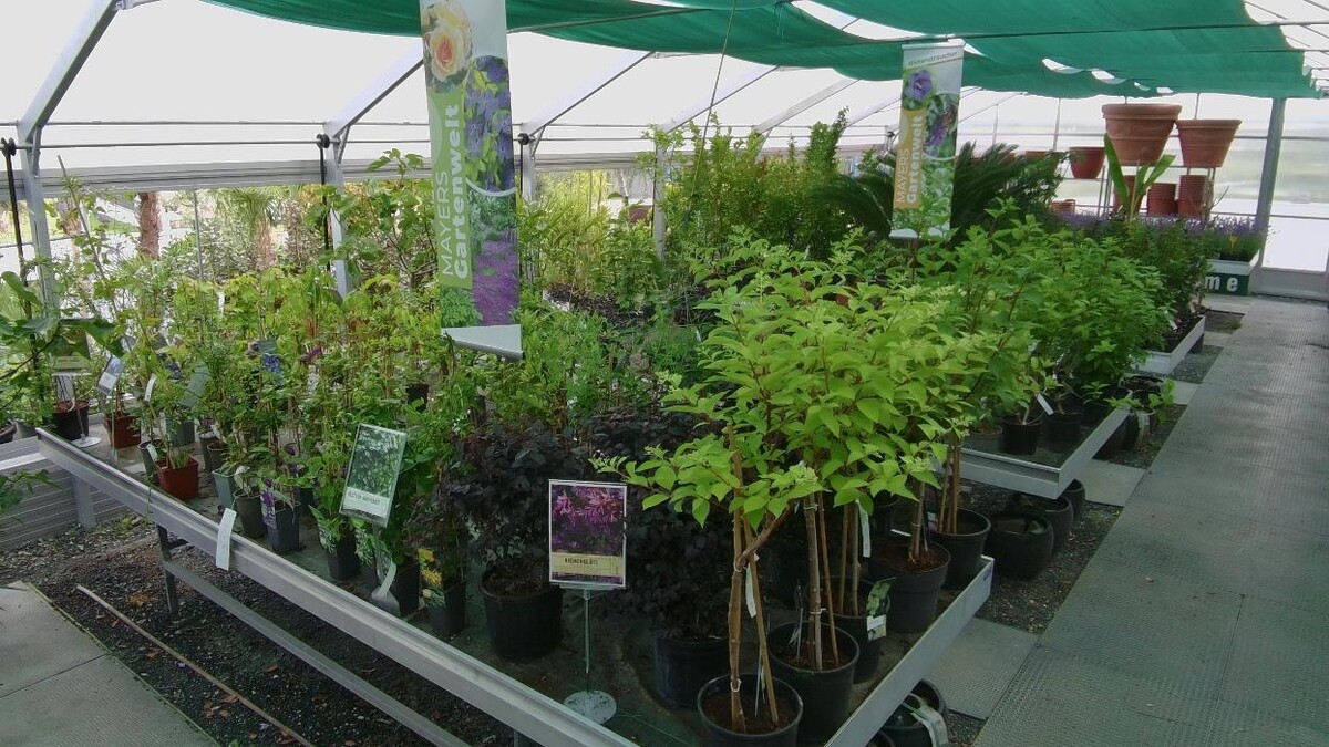 Bilder Mayer's Gartenwelt