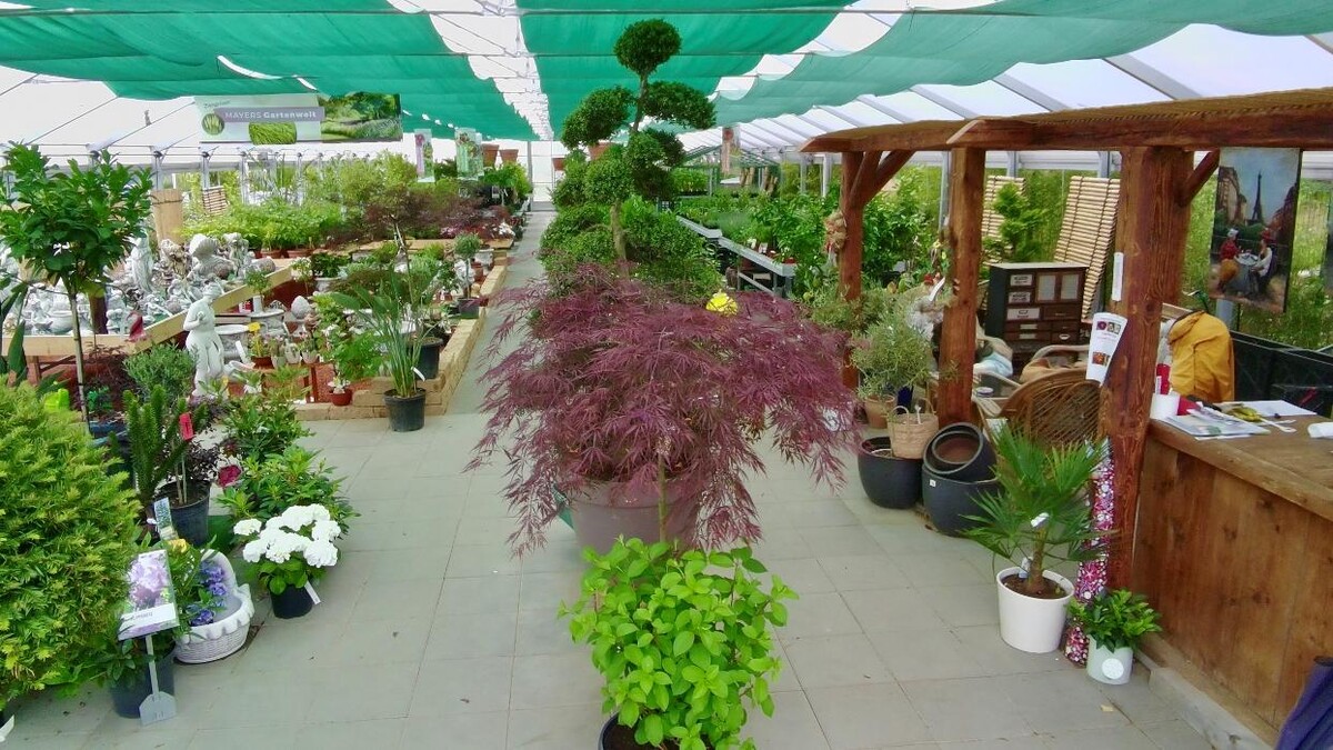 Bilder Mayer's Gartenwelt