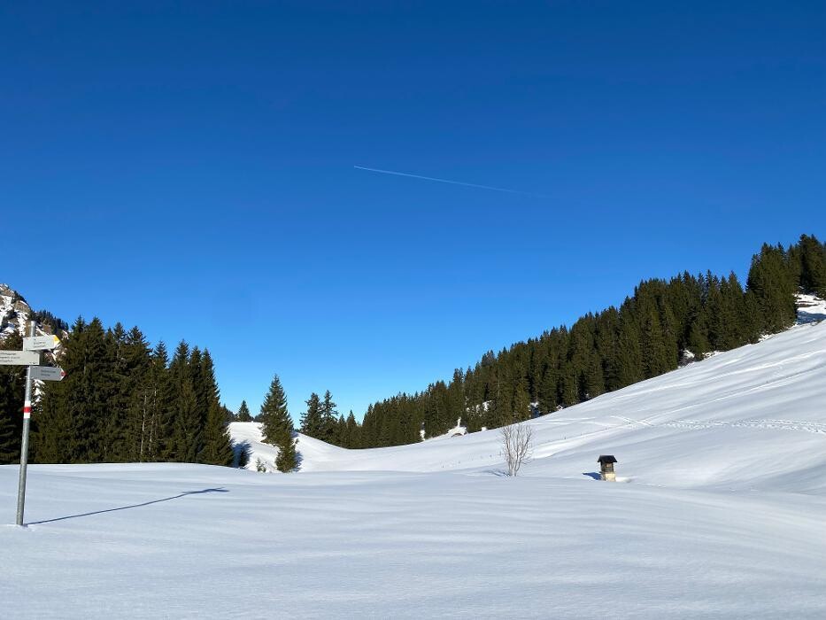 Bilder Haus WohlSEIN