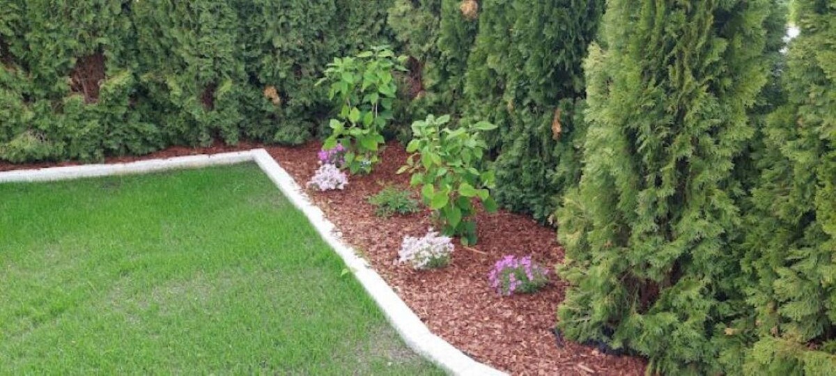 Bilder HGS Haus&Gartenservice Richard de Vlieger
