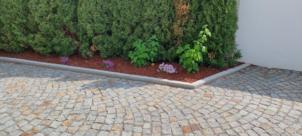 Bilder HGS Haus&Gartenservice Richard de Vlieger