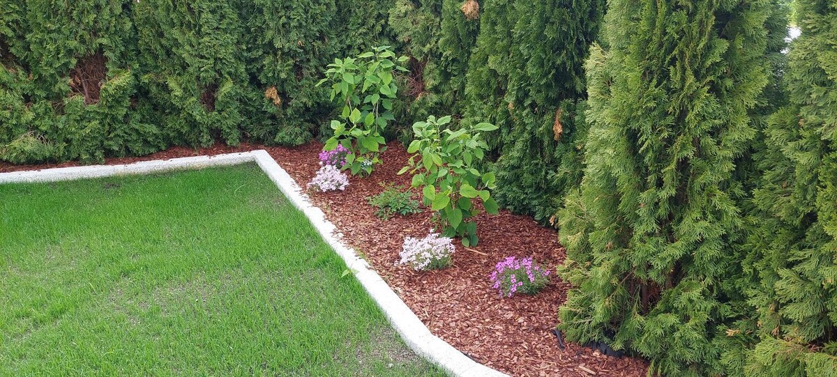 Bilder HGS Haus&Gartenservice Richard de Vlieger