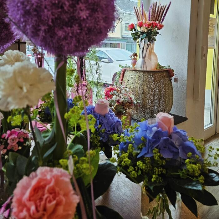 Bilder Naturdesign by Daniel
