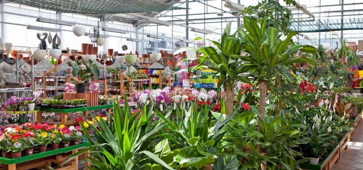 Bilder BauProfi Baumarkt Kieninger