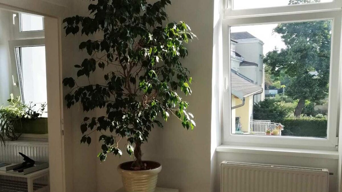 Bilder LernQuadrat Nachhilfe