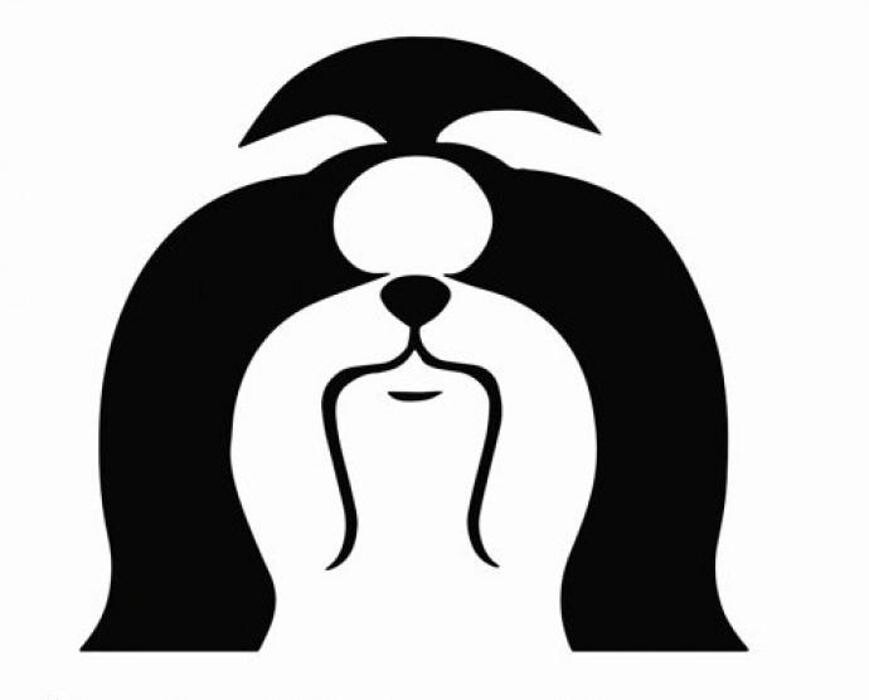Shih Tzu von Knallgrau Logo