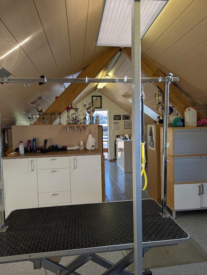 Bilder Hundesalon & Ernährungsberatung Gabi Radler