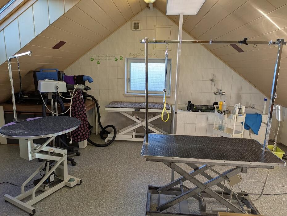 Bilder Hundesalon & Ernährungsberatung Gabi Radler