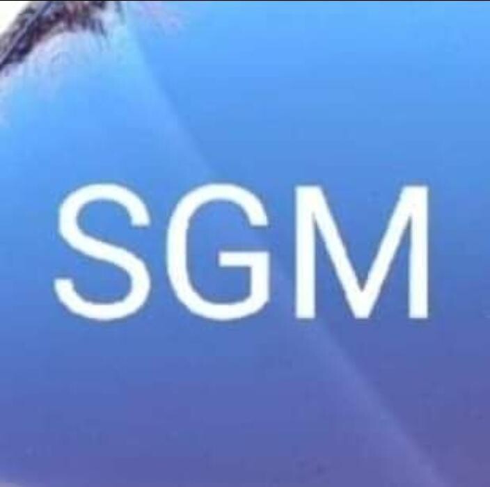 SGM- Autoglas Logo