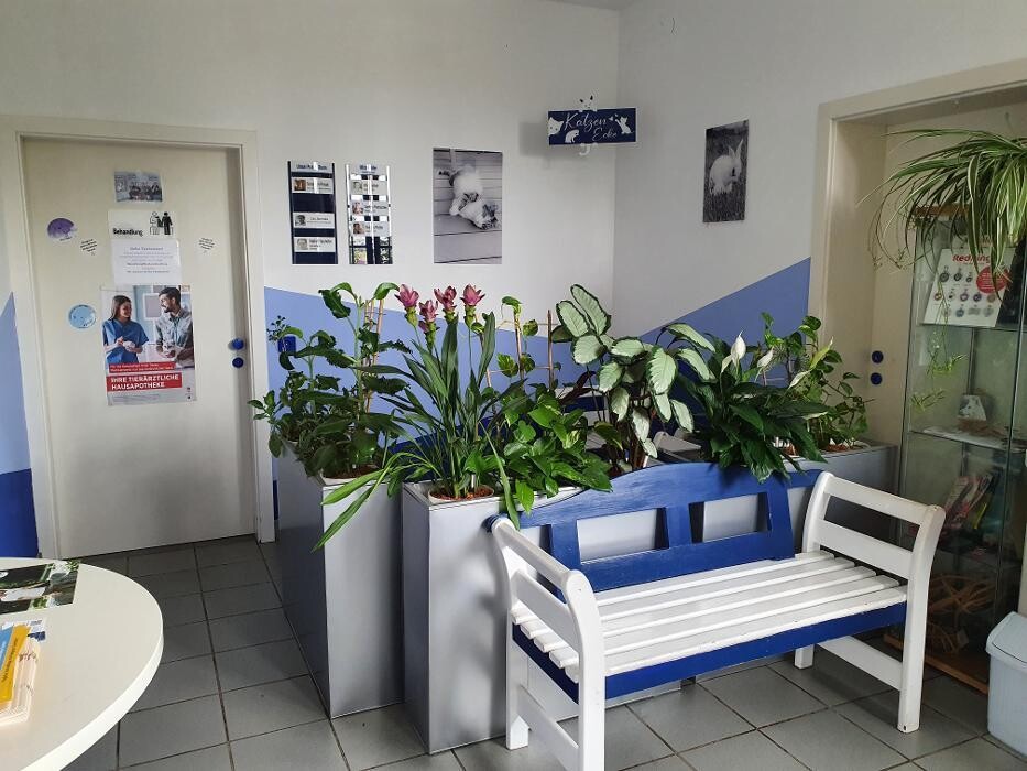 Bilder Tierarztpraxis Zistersdorf