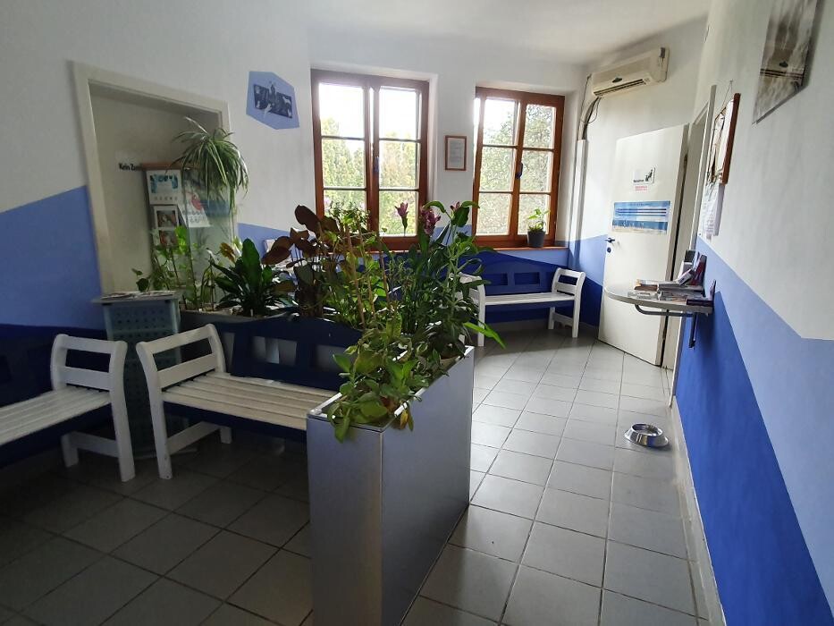 Bilder Tierarztpraxis Zistersdorf