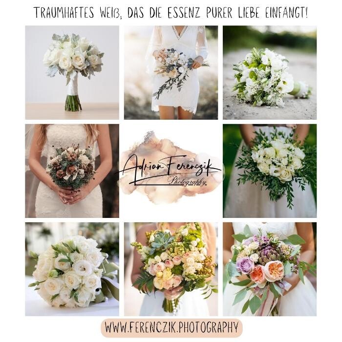 Bilder FotoStudio - Hochzeitsfotograf - Adrian Ferenczik
