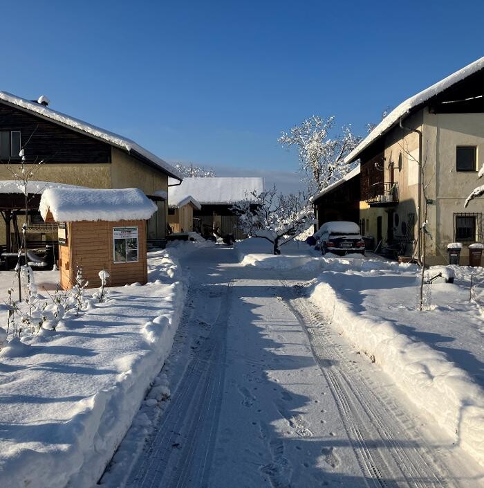 Bilder Maierbauer Braunau