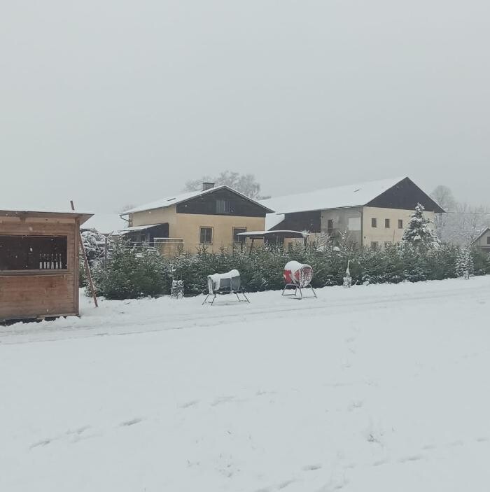 Bilder Maierbauer Braunau
