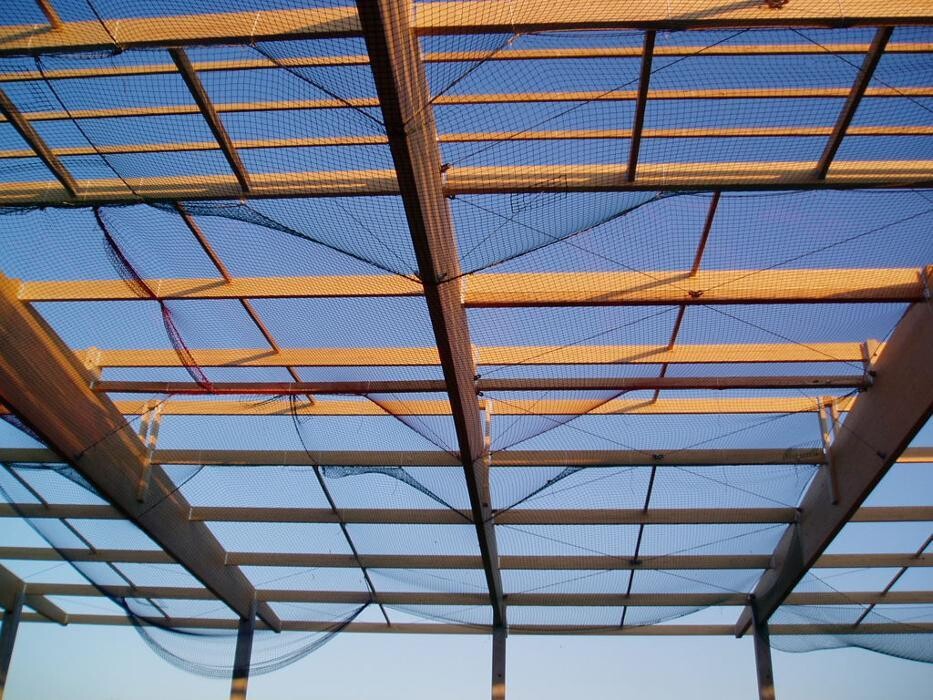 Bilder Pinzl GmbH