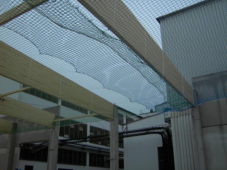 Bilder Pinzl GmbH