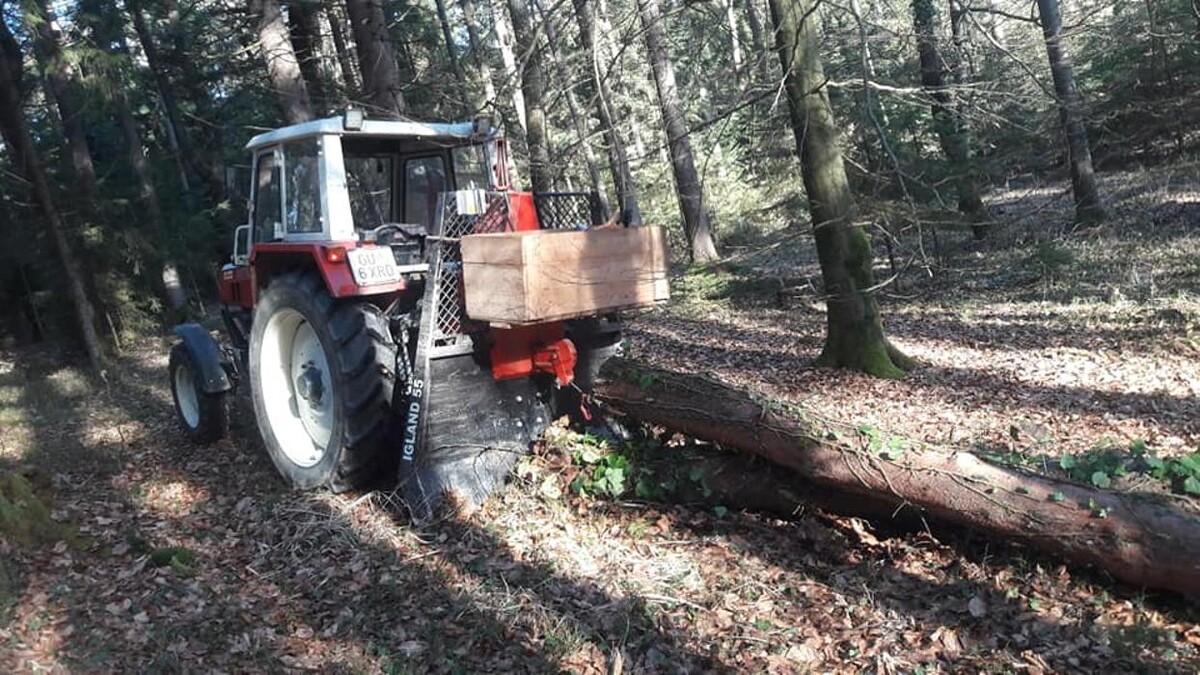 Bilder Hösele Grünraumpflege & Dienstleistungen