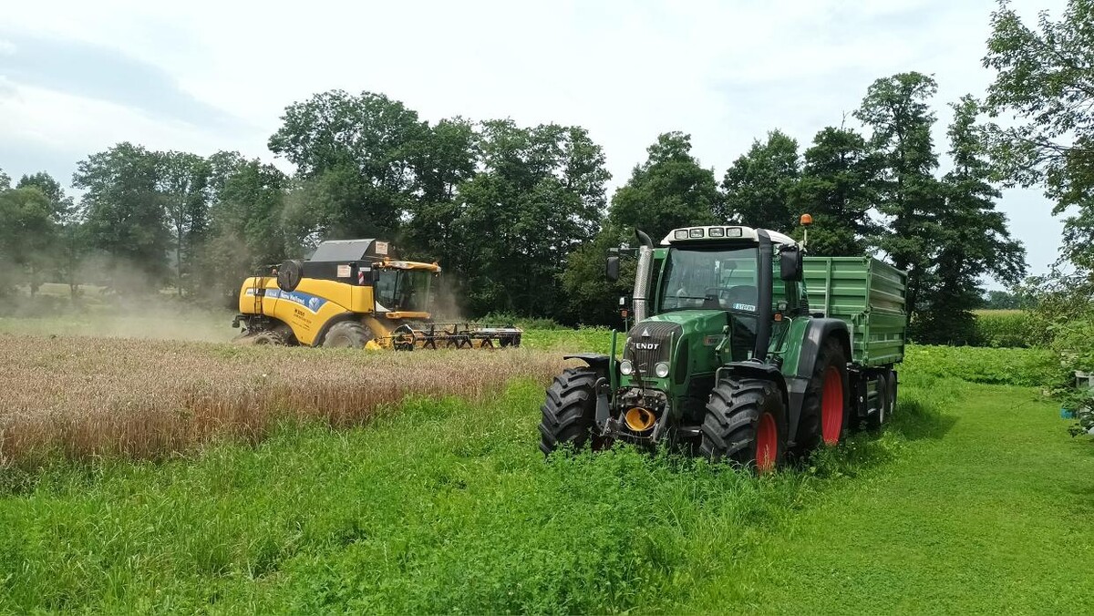 Bilder Hösele Grünraumpflege & Dienstleistungen
