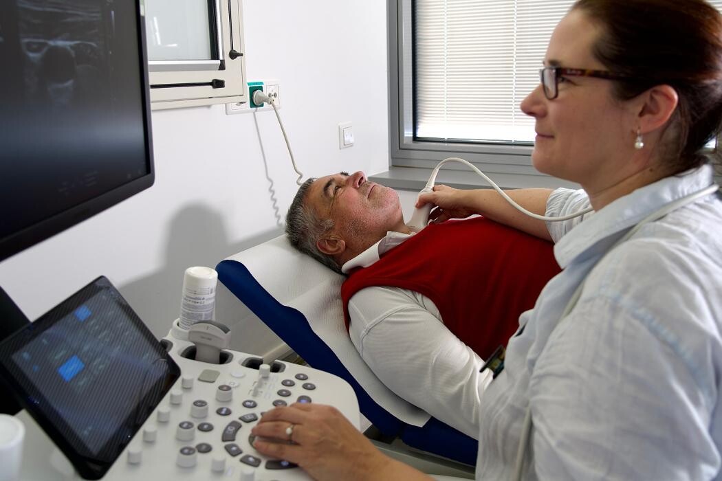 Bilder Dr. Susanne Prassl