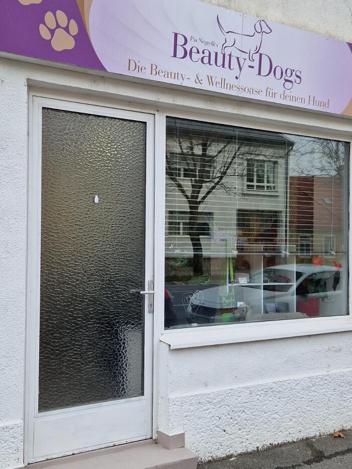 Bilder Beauty-Dogs