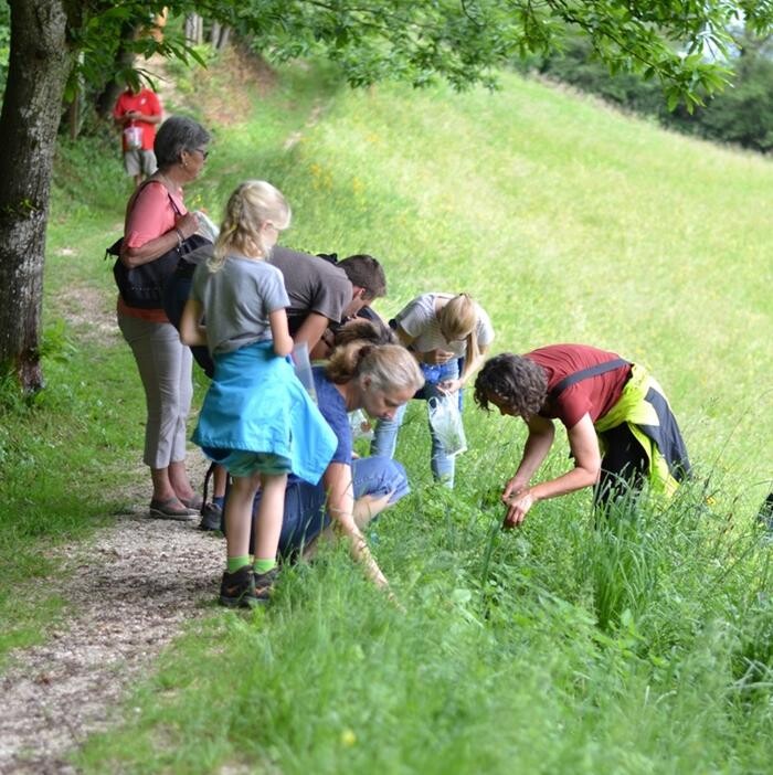 Bilder BROT UND LEBEN | Helga Graef