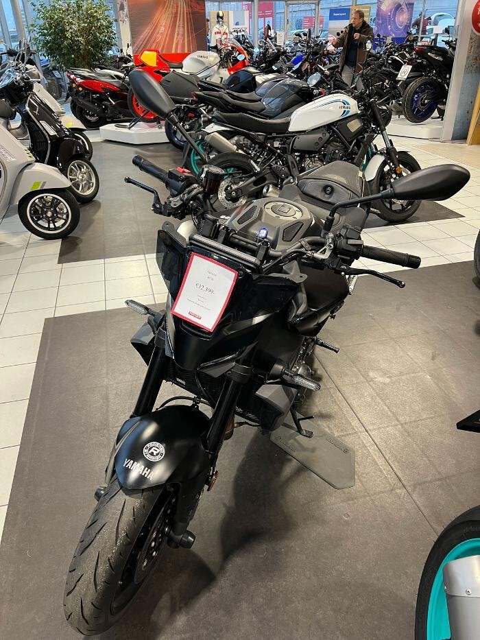 Bilder Yamaha Rainer