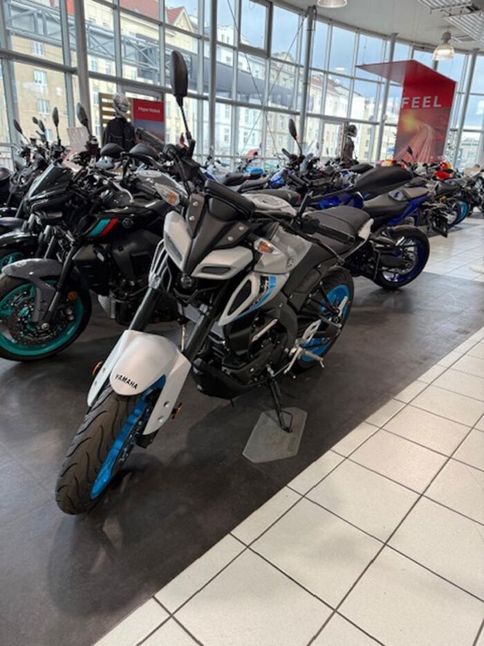 Bilder Yamaha Rainer