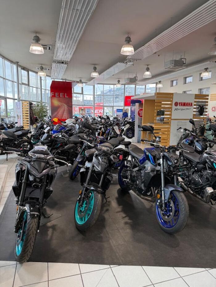 Bilder Yamaha Rainer