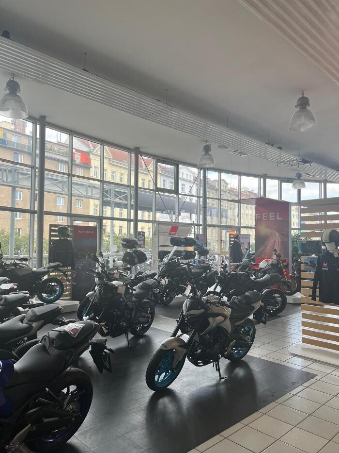 Bilder Yamaha Rainer