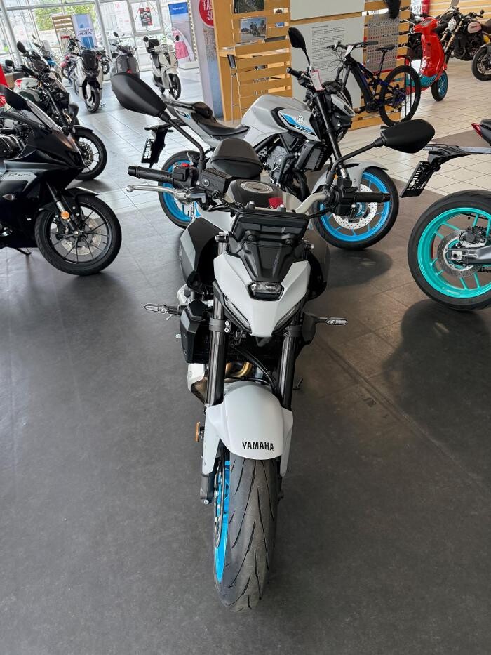 Bilder Yamaha Rainer