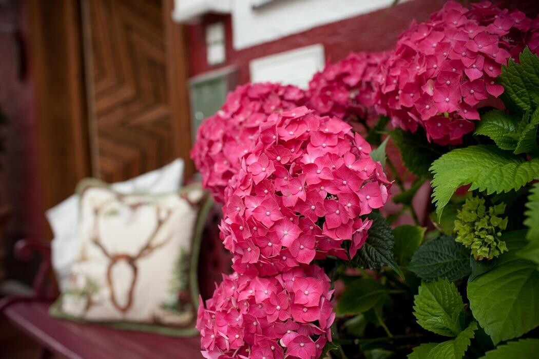 Bilder Holidaysun - Chalets im Salzburger Land
