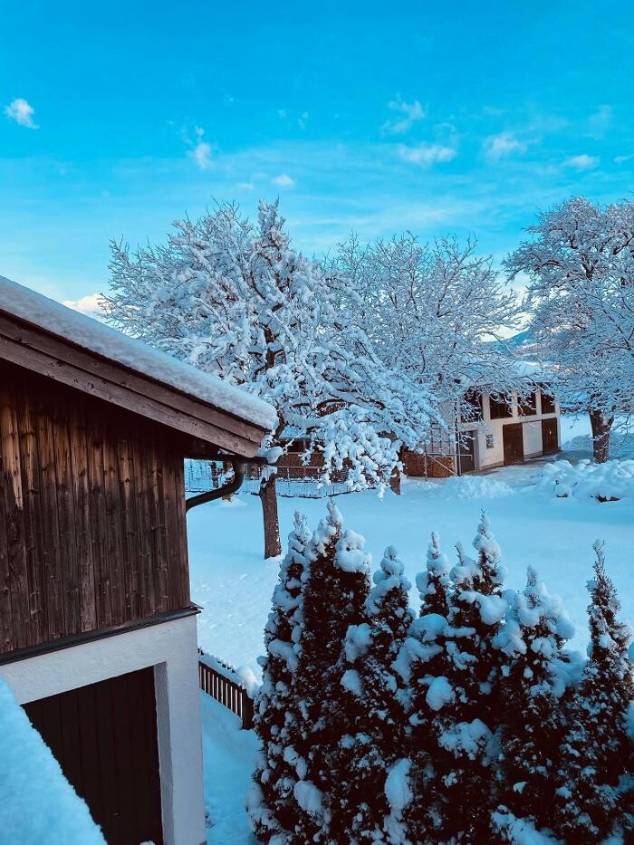 Bilder Holidaysun - Chalets im Salzburger Land