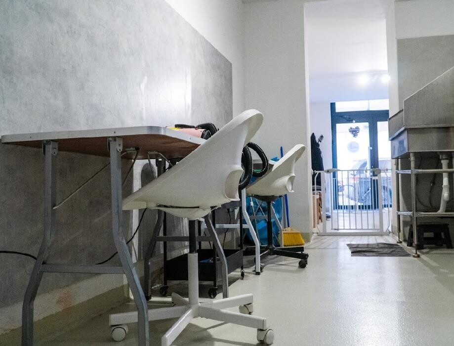 Bilder Hundesalon Cozy Doggie