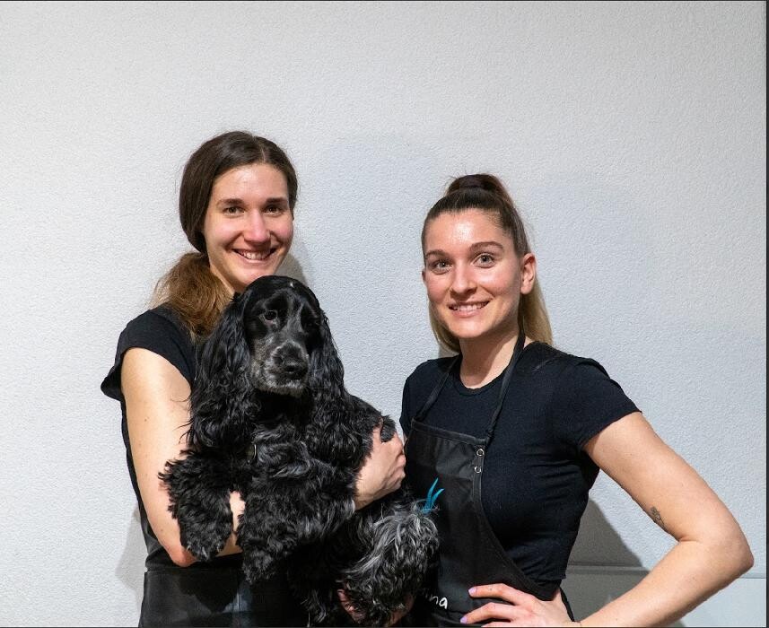 Bilder Hundesalon Cozy Doggie