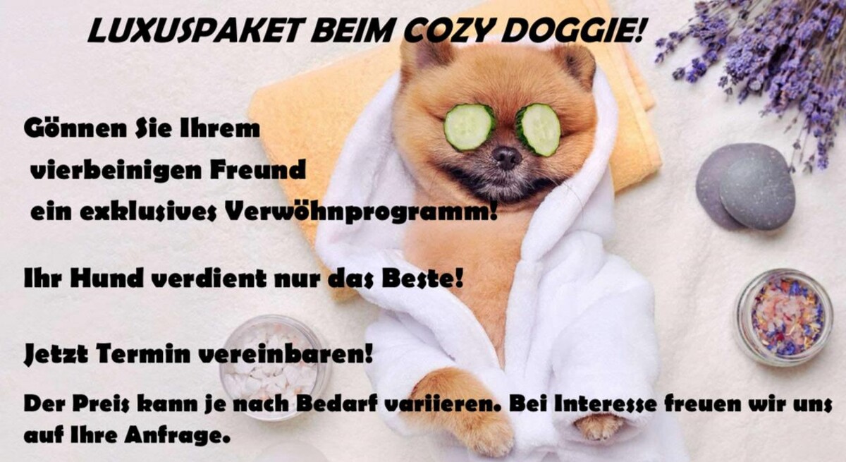 Bilder Hundesalon Cozy Doggie
