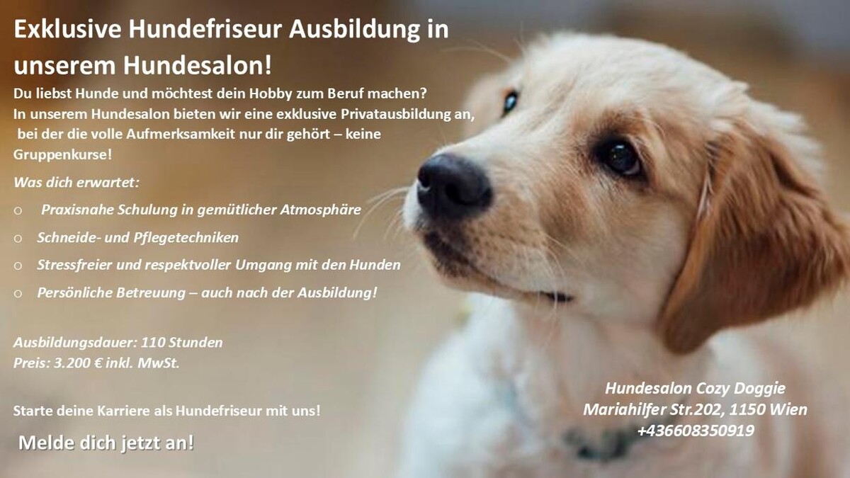 Bilder Hundesalon Cozy Doggie