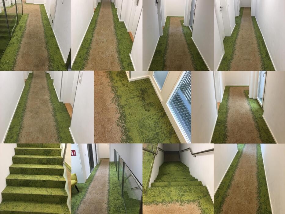 Bilder Integritas GmbH