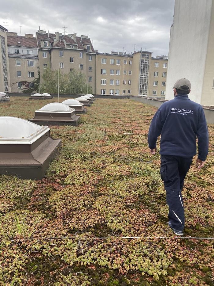 Bilder Integritas GmbH