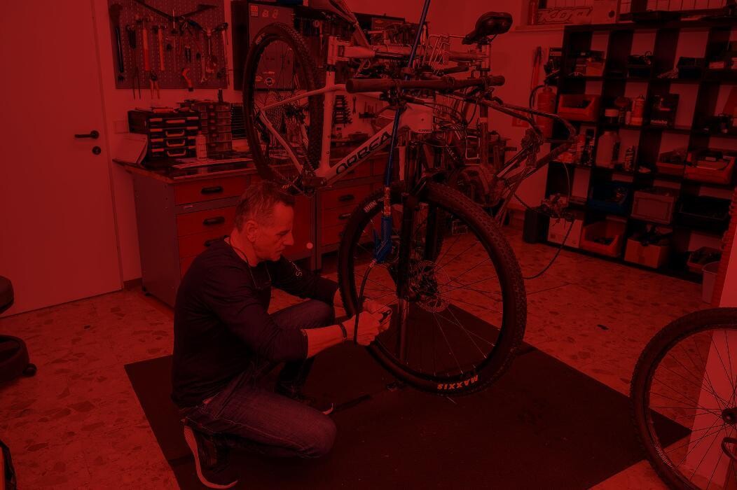 Bilder armadillos bikewerk