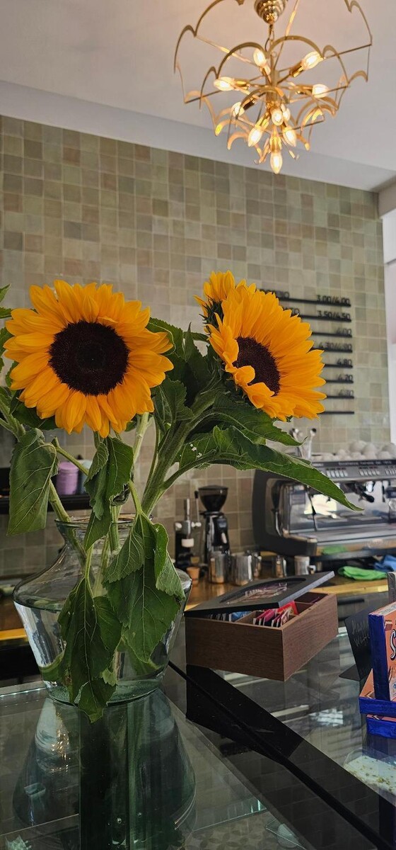 Bilder Cafe Farmacia 1040