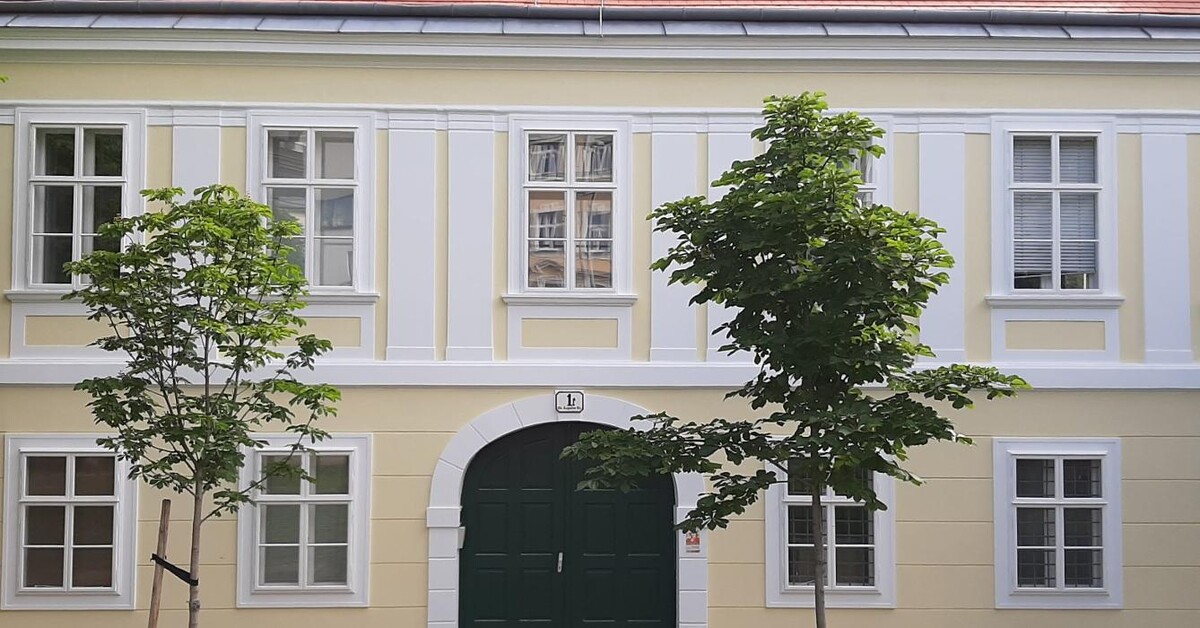 Bilder Valenta & Valenta GmbH - Wien - Malerei, Anstrich, Tapeten & Boden