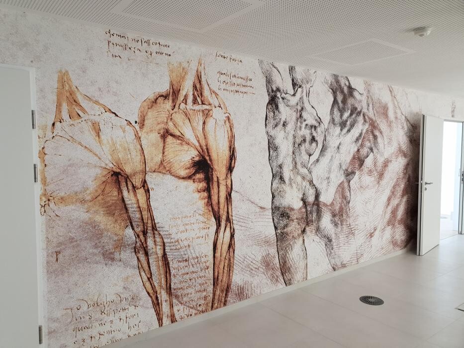 Bilder Valenta & Valenta GmbH - Wien - Malerei, Anstrich, Tapeten & Boden