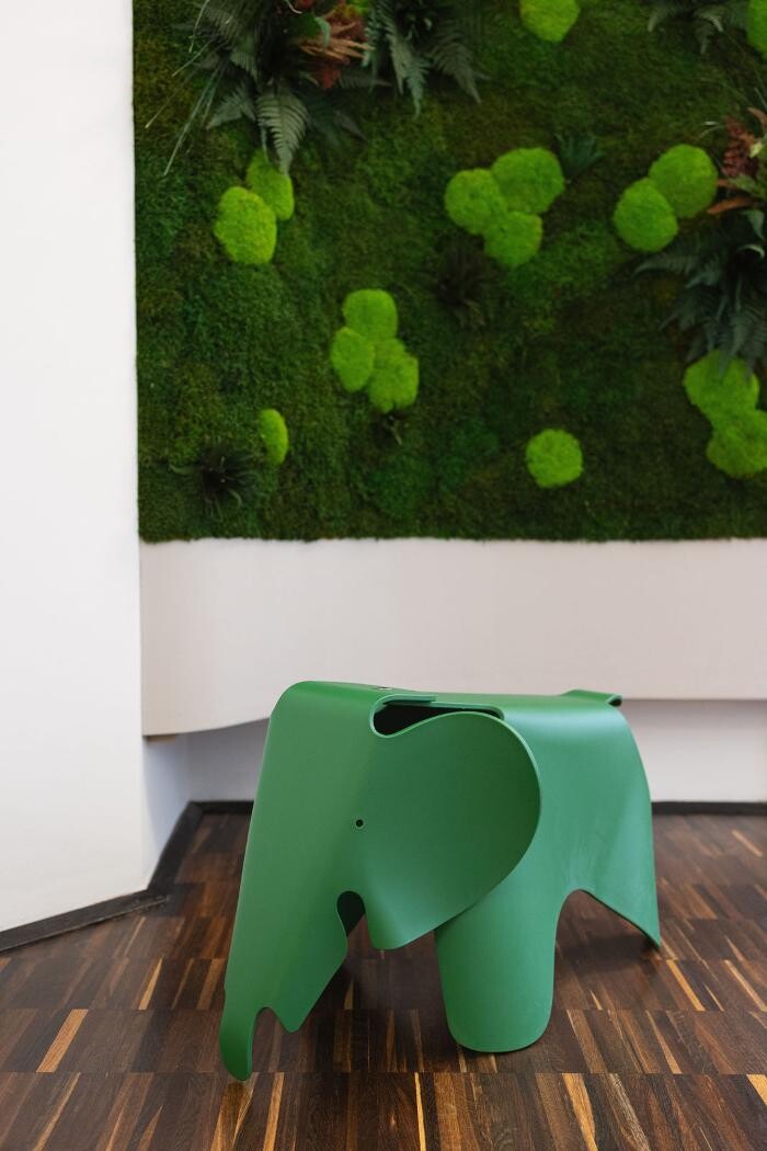 Bilder Dr. Sebastian Baumgartner - Spezialist für Reise-, Tropenmedizin & Innere Medizin