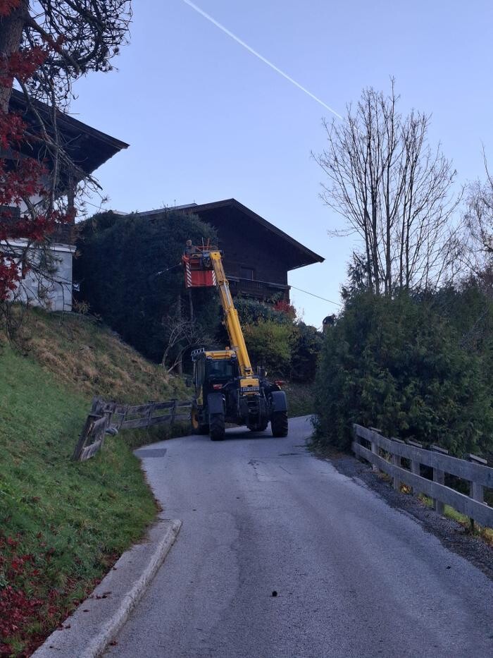 Bilder Hausbetreuung Bolego e.U.